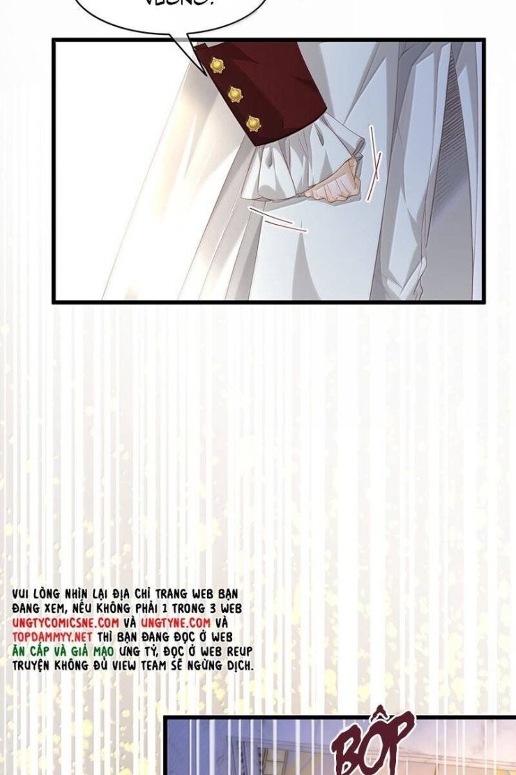 Tôi Trùng Sinh Trở Thành Tiểu Ác Long Của Vương Tử Điện Hạ - Page 11