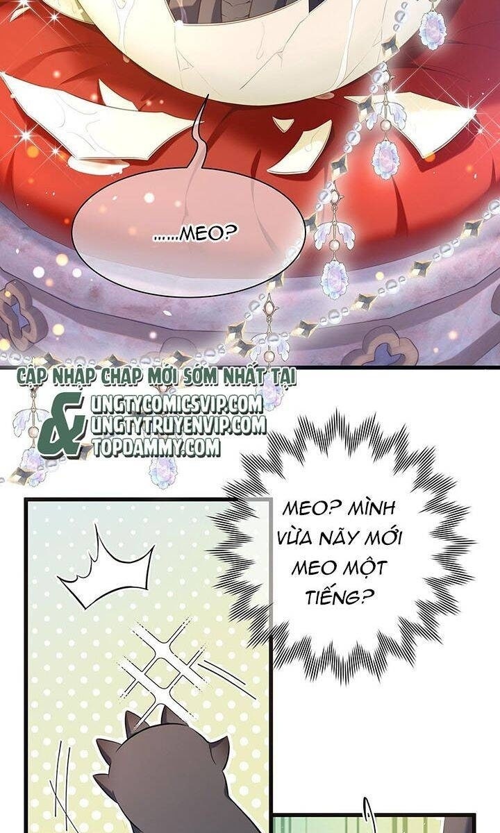 Tôi Trùng Sinh Trở Thành Tiểu Ác Long Của Vương Tử Điện Hạ - Page 8