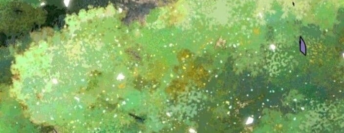 Sư Tôn: Nghịch Đồ Này Không Phải Là Thánh Tử - Page 35