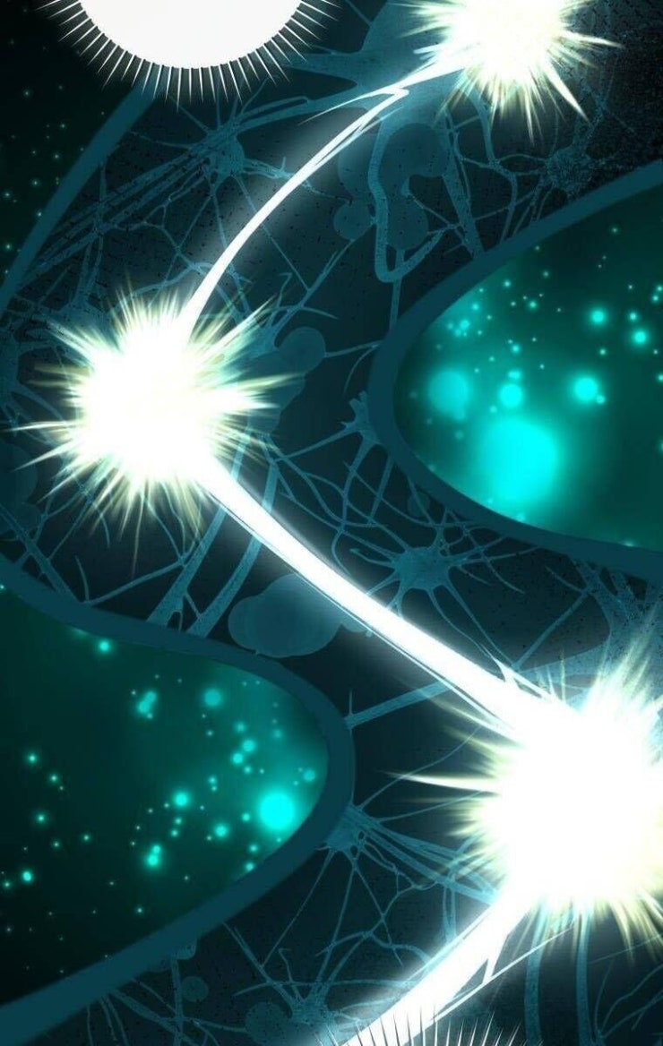 Trở Thành Cô Cháu Gái Bị Khinh Miệt Của Gia Tộc Võ Lâm - Page 119