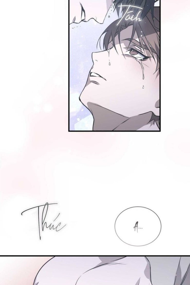 Sau Ánh Hào Quang - Page 46