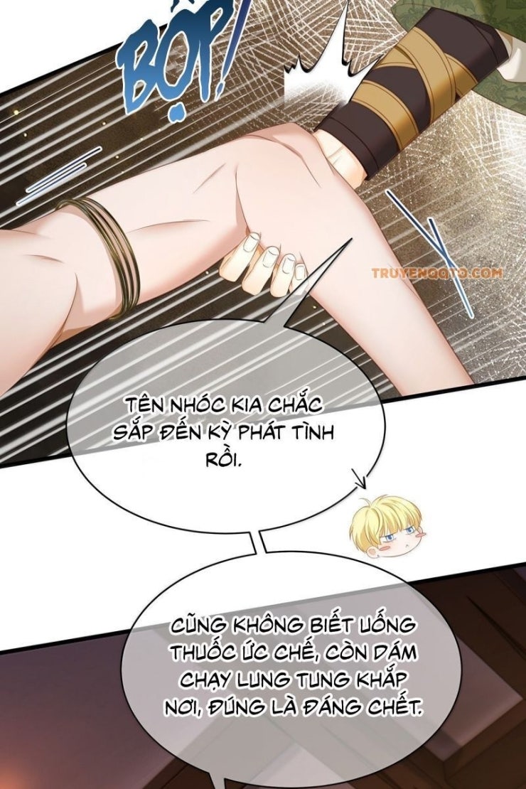 Tôi Trùng Sinh Trở Thành Tiểu Ác Long Của Vương Tử Điện Hạ - Page 40