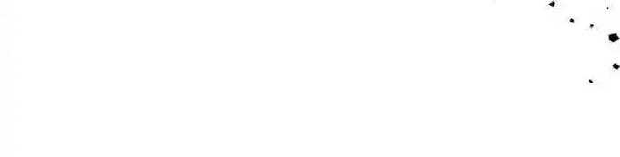 Bạn Thân Khác Giới Của Nam Chính - Page 53