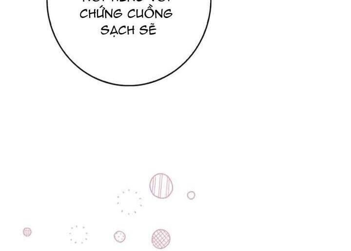 Nàng Công Chúa Tiên Tri - Page 31