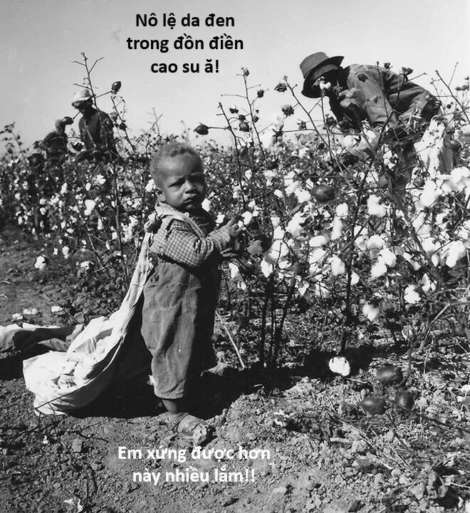 Hổ Đến Chơi Nhà - Page 134