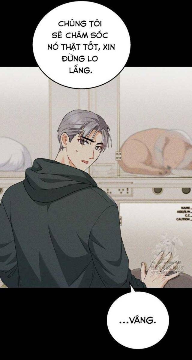 Xin Chào! Bác Sĩ Thú Y - Page 40