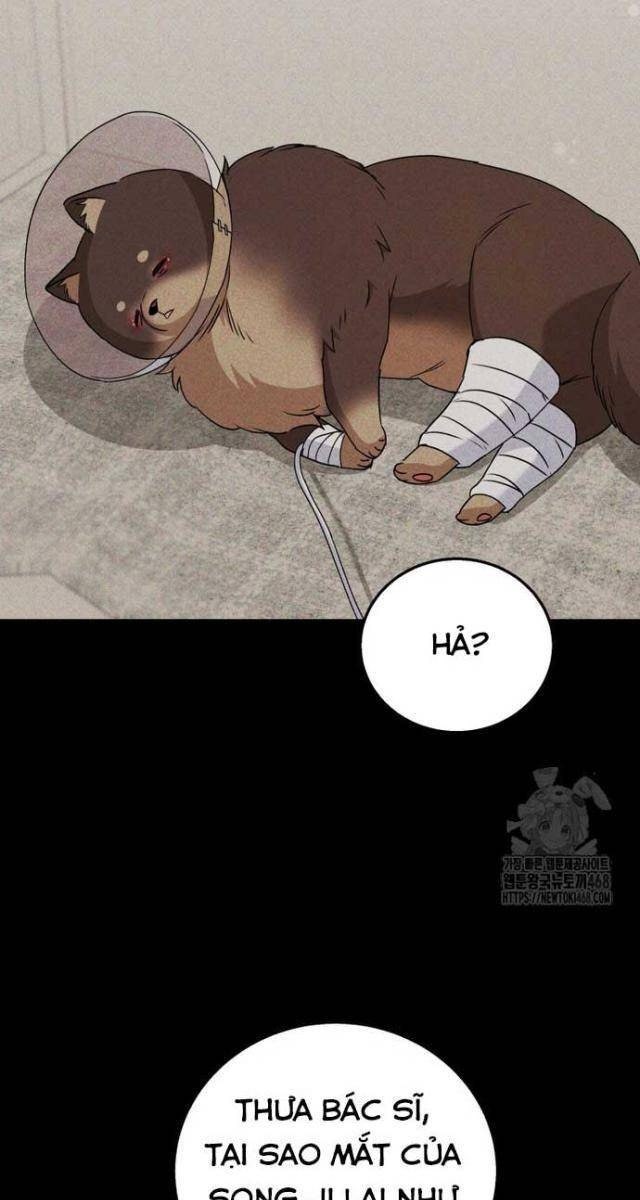 Xin Chào! Bác Sĩ Thú Y - Page 36