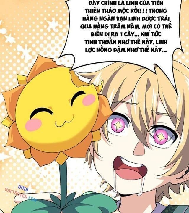 Xuyên Không Đến Thế Giới Tu Chân, Ta Vậy Mà Kích Hoạt Được Hệ Thống Plants vs Zombie - Page 37