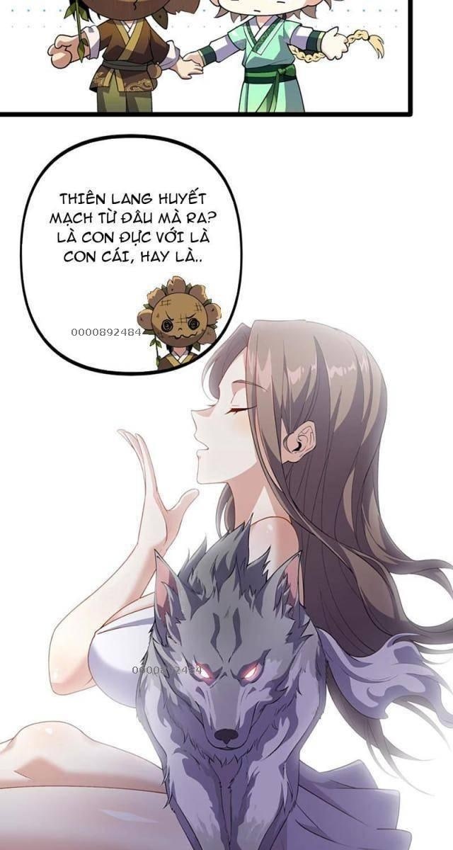 Xuyên Không Đến Thế Giới Tu Chân, Ta Vậy Mà Kích Hoạt Được Hệ Thống Plants vs Zombie - Page 5