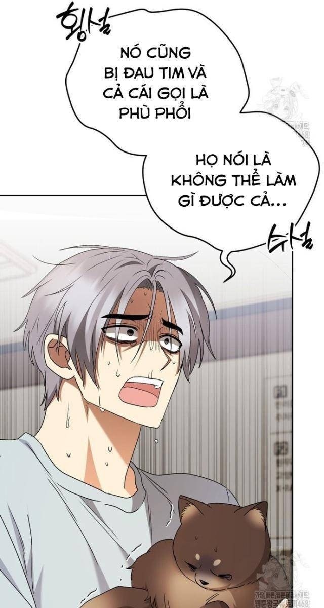 Xin Chào! Bác Sĩ Thú Y - Page 105