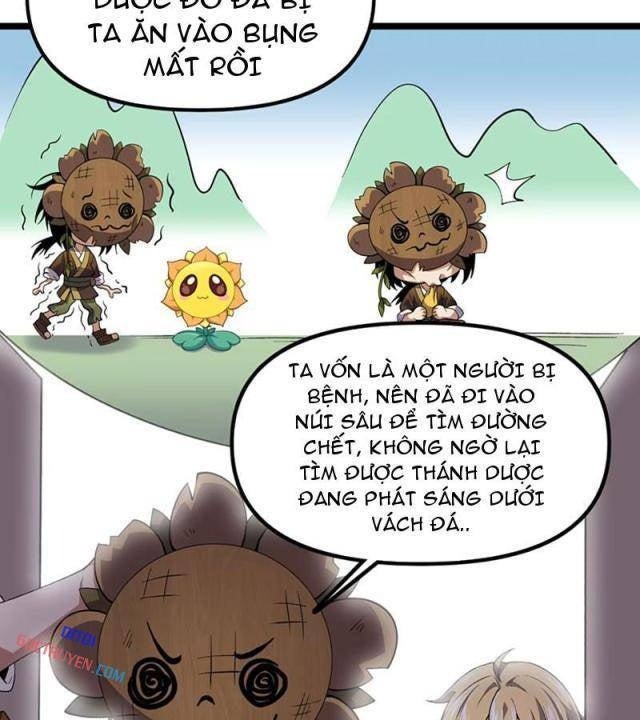 Xuyên Không Đến Thế Giới Tu Chân, Ta Vậy Mà Kích Hoạt Được Hệ Thống Plants vs Zombie - Page 22