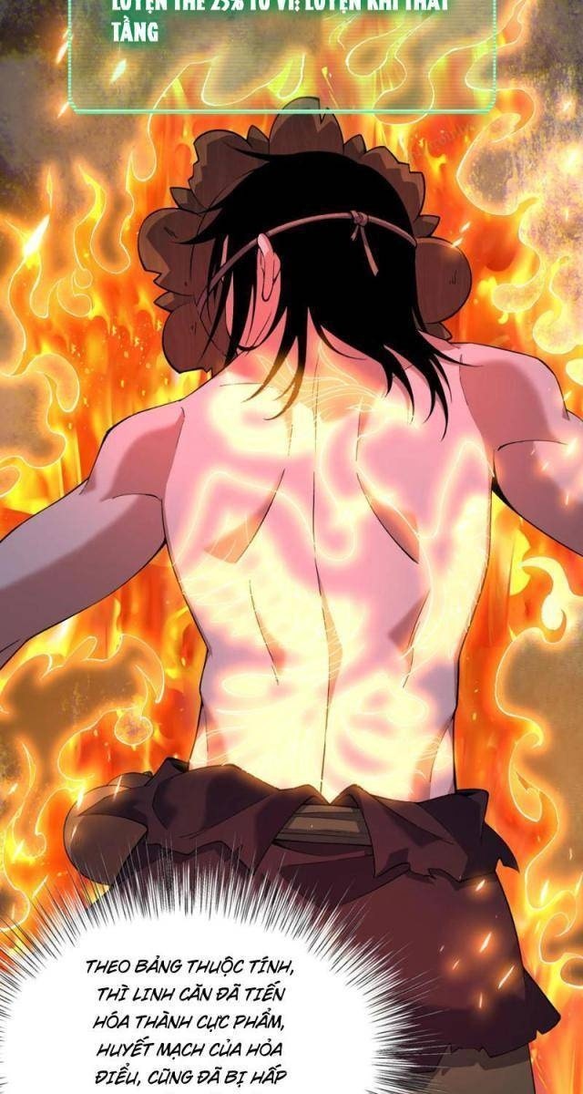 Xuyên Không Đến Thế Giới Tu Chân, Ta Vậy Mà Kích Hoạt Được Hệ Thống Plants vs Zombie - Page 17