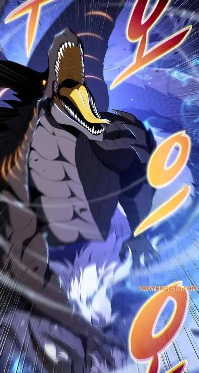 Người Chơi Đơn Mới Cấp Cao Nhất - Page 15