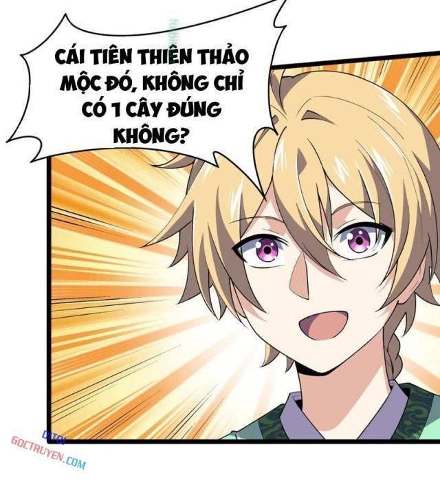 Xuyên Không Đến Thế Giới Tu Chân, Ta Vậy Mà Kích Hoạt Được Hệ Thống Plants vs Zombie - Page 4