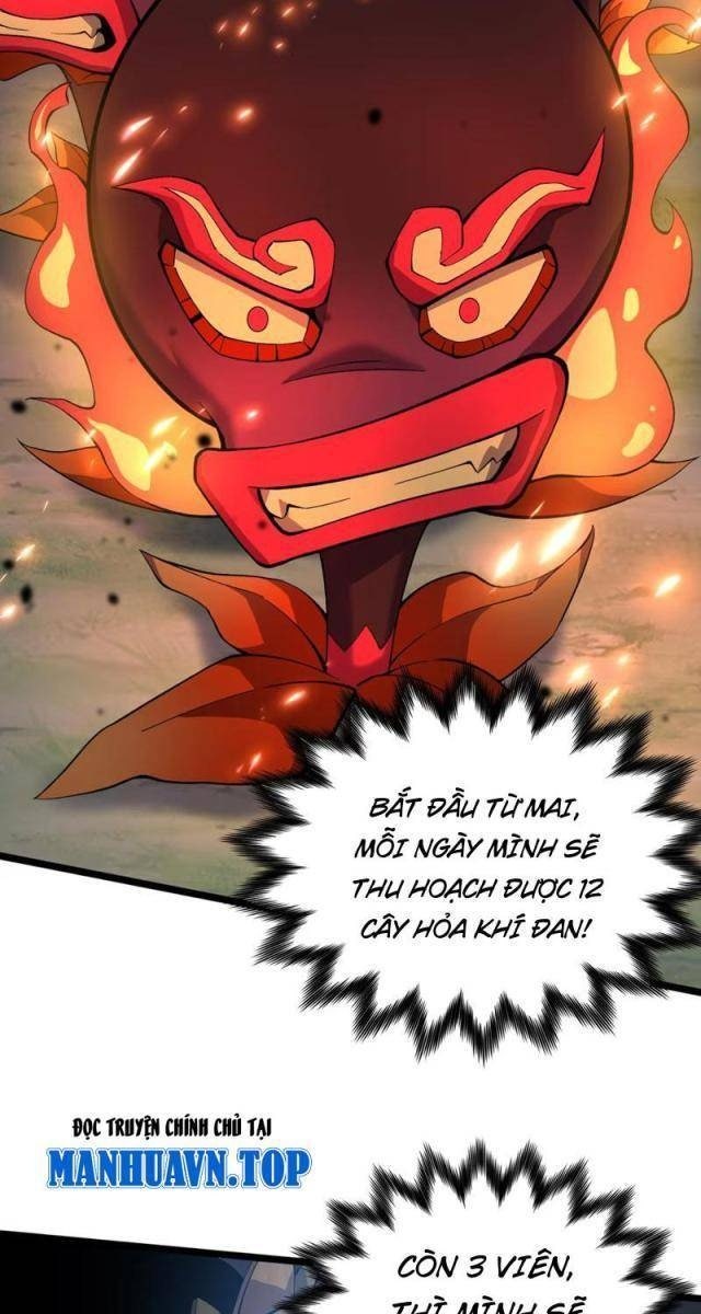 Xuyên Không Đến Thế Giới Tu Chân, Ta Vậy Mà Kích Hoạt Được Hệ Thống Plants vs Zombie - Page 13