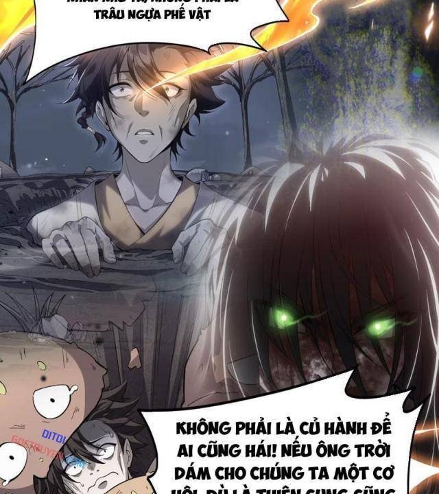 Xuyên Không Đến Thế Giới Tu Chân, Ta Vậy Mà Kích Hoạt Được Hệ Thống Plants vs Zombie - Page 40