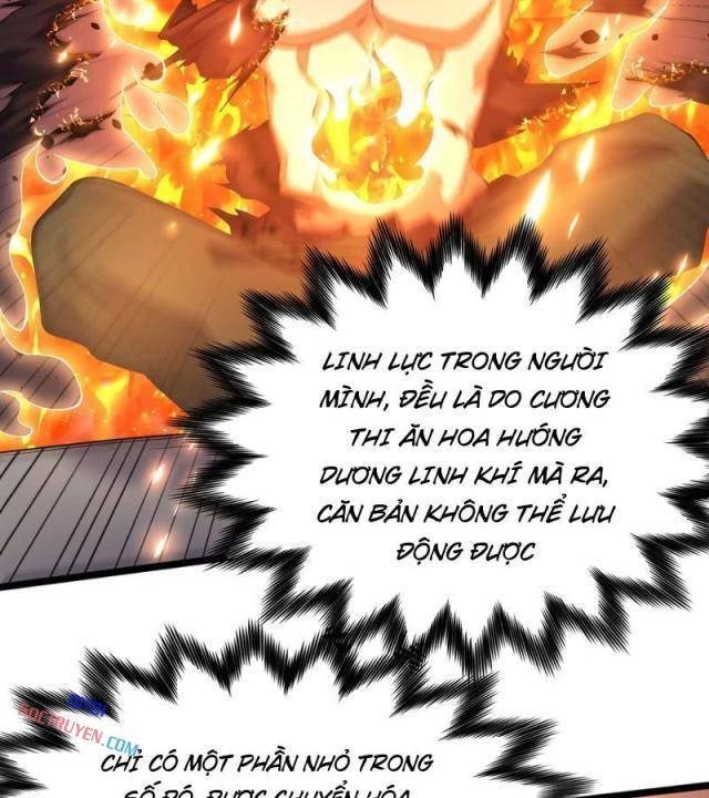 Xuyên Không Đến Thế Giới Tu Chân, Ta Vậy Mà Kích Hoạt Được Hệ Thống Plants vs Zombie - Page 34