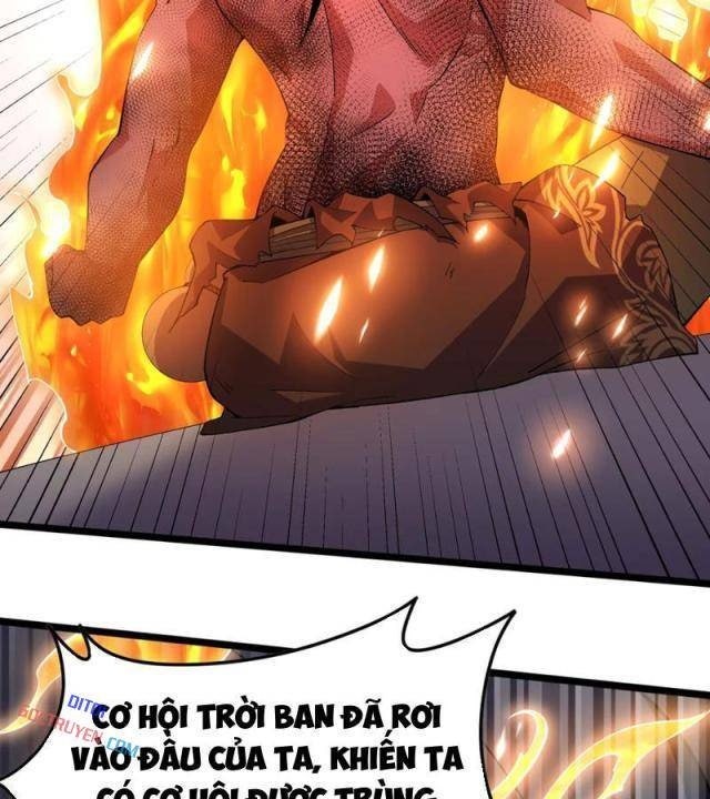 Xuyên Không Đến Thế Giới Tu Chân, Ta Vậy Mà Kích Hoạt Được Hệ Thống Plants vs Zombie - Page 38