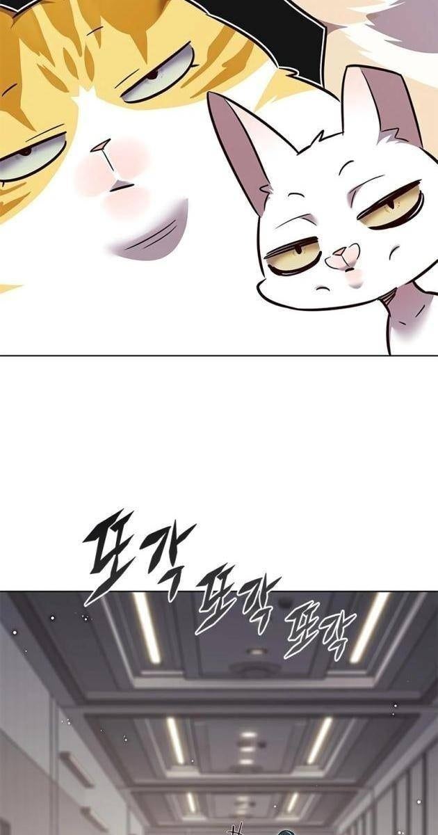 Hoá Thân Thành Mèo - Page 81