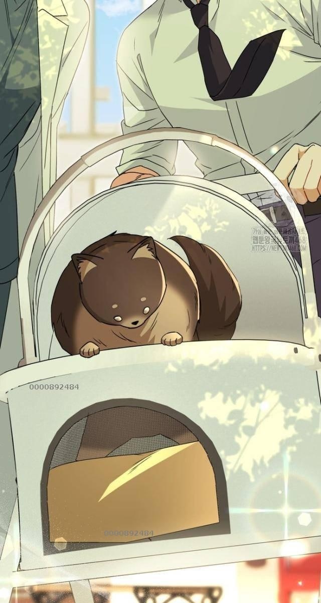 Xin Chào! Bác Sĩ Thú Y - Page 115