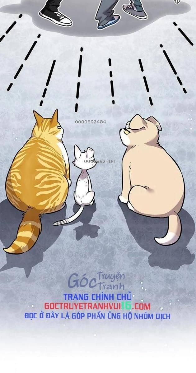 Hoá Thân Thành Mèo - Page 162