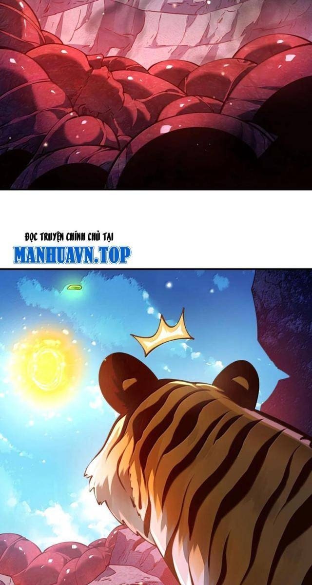 Bói Toán Mà Thôi, Cửu Vĩ Yêu Đế Sao Lại Thành Nương Tử Ta?! - Page 9