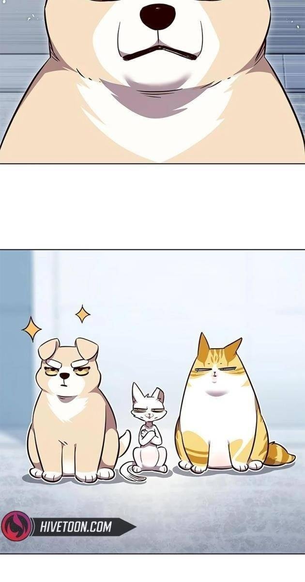 Hoá Thân Thành Mèo - Page 91