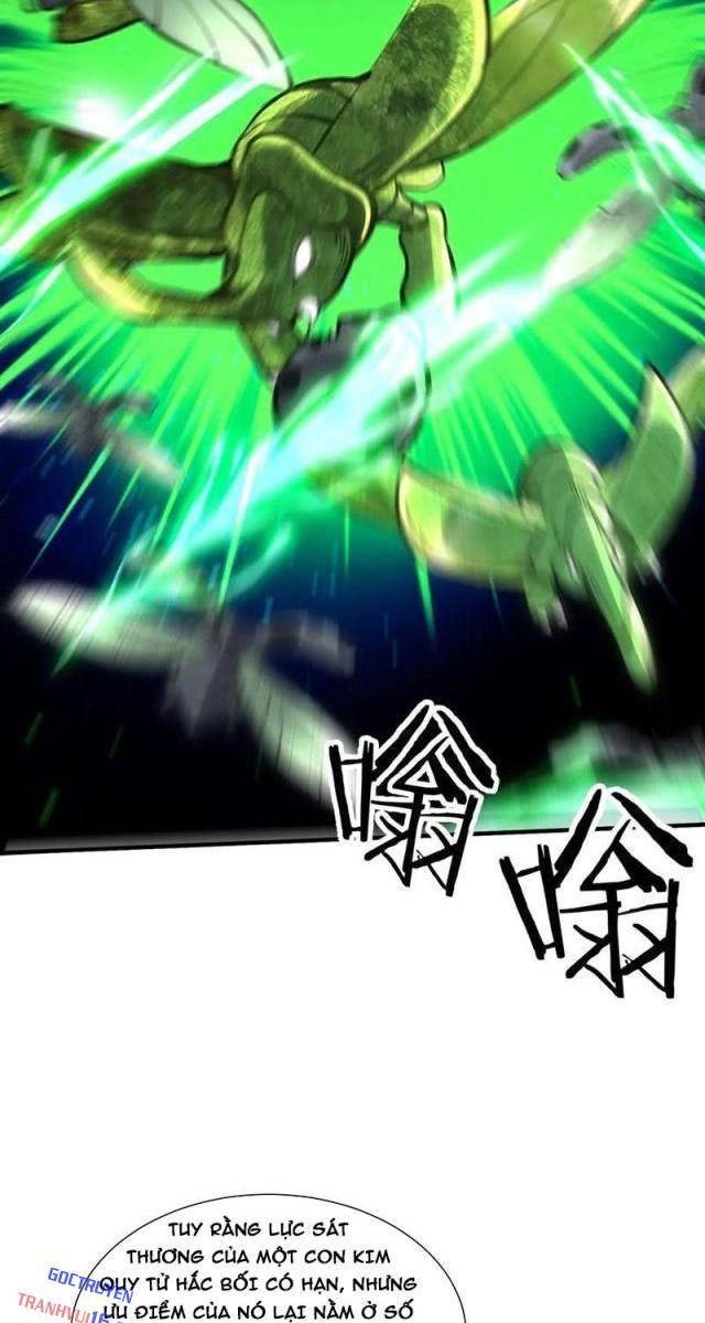 Trùng Sinh Ma Tu:Bắt Đầu Từ Việc Nhặt Được Một Viên Tinh Cầu Zombie - Page 5