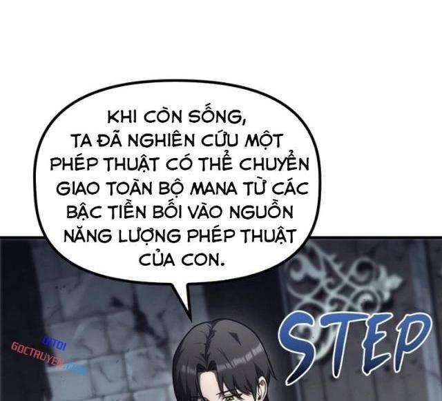 Thiếu Gia Chủ Của Gia Tộc Tử Linh Sư - Page 21