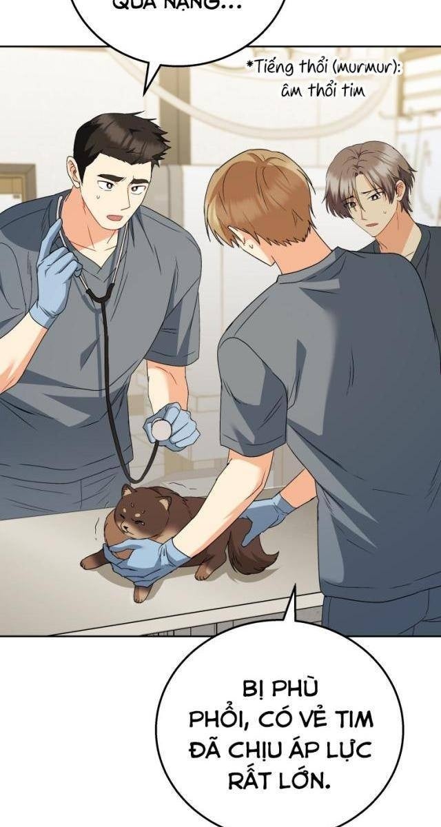Xin Chào! Bác Sĩ Thú Y - Page 12