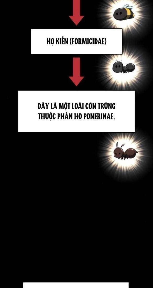 Chuyên Gia Côn Trùng Tại Đường Gia Tứ Xuyên - Page 4