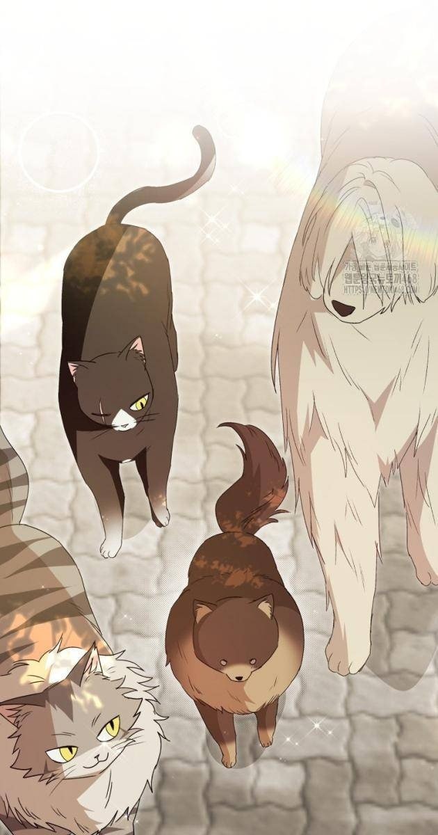 Xin Chào! Bác Sĩ Thú Y - Page 87