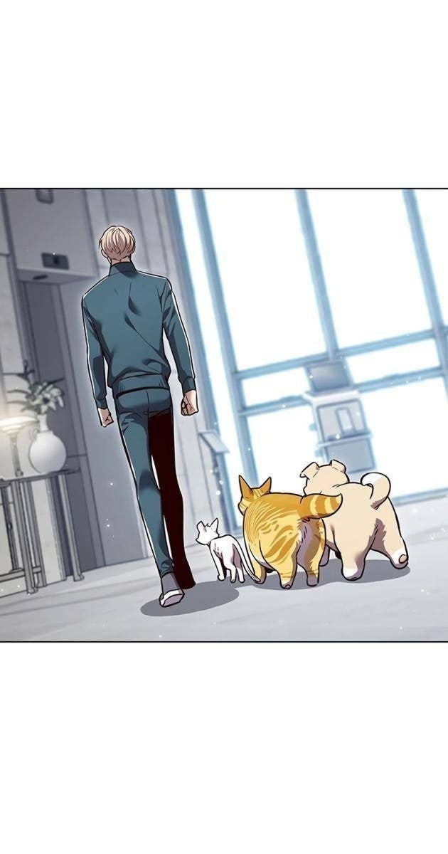 Hoá Thân Thành Mèo - Page 25