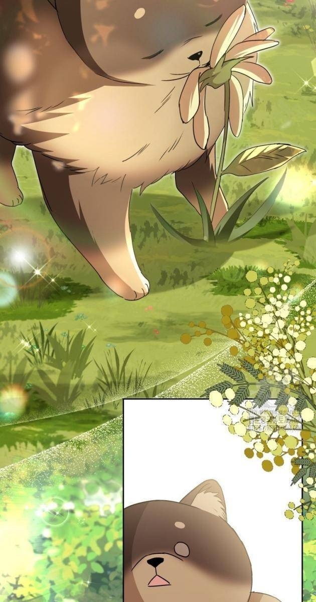 Xin Chào! Bác Sĩ Thú Y - Page 19