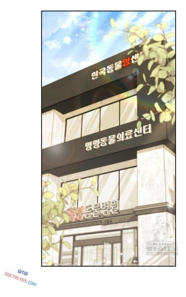 Xin Chào! Bác Sĩ Thú Y - Page 70