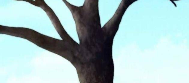 Phi Lôi Đao - Page 18