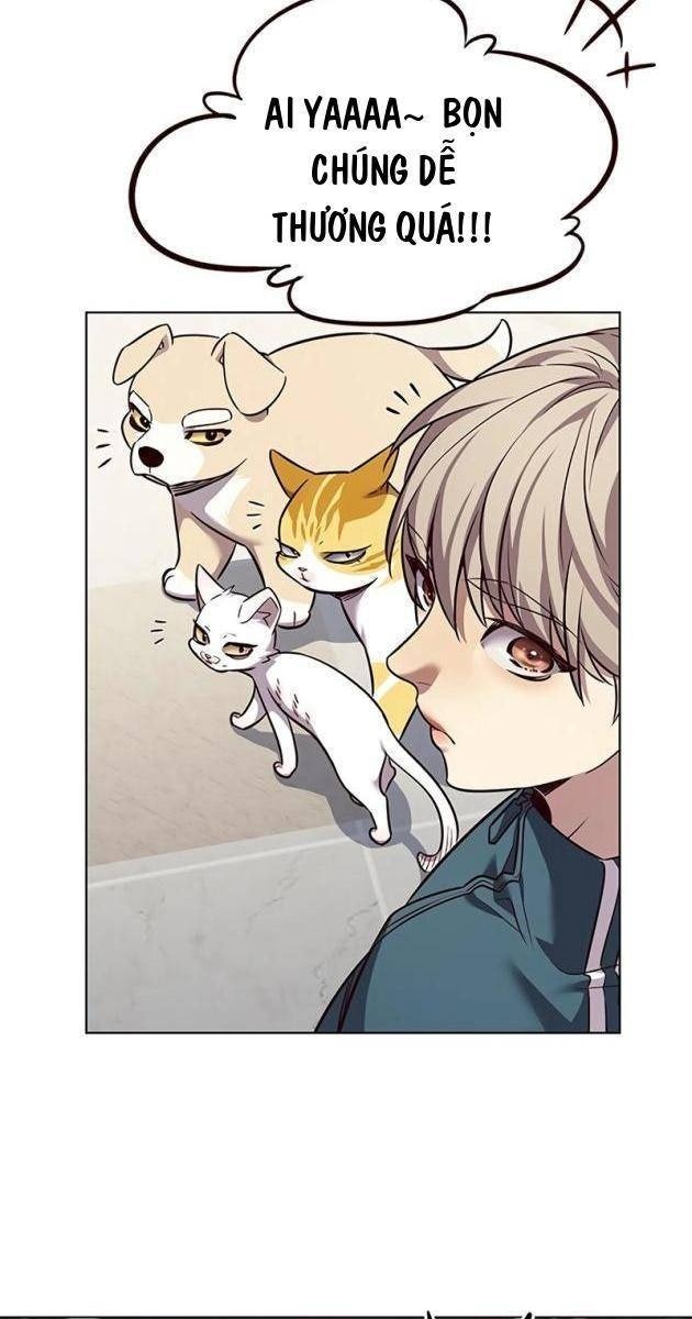 Hoá Thân Thành Mèo - Page 27