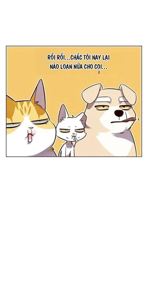 Hoá Thân Thành Mèo - Page 46