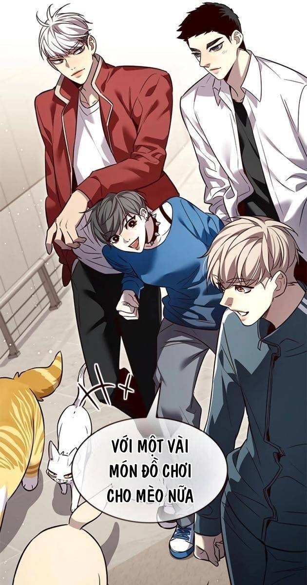 Hoá Thân Thành Mèo - Page 50