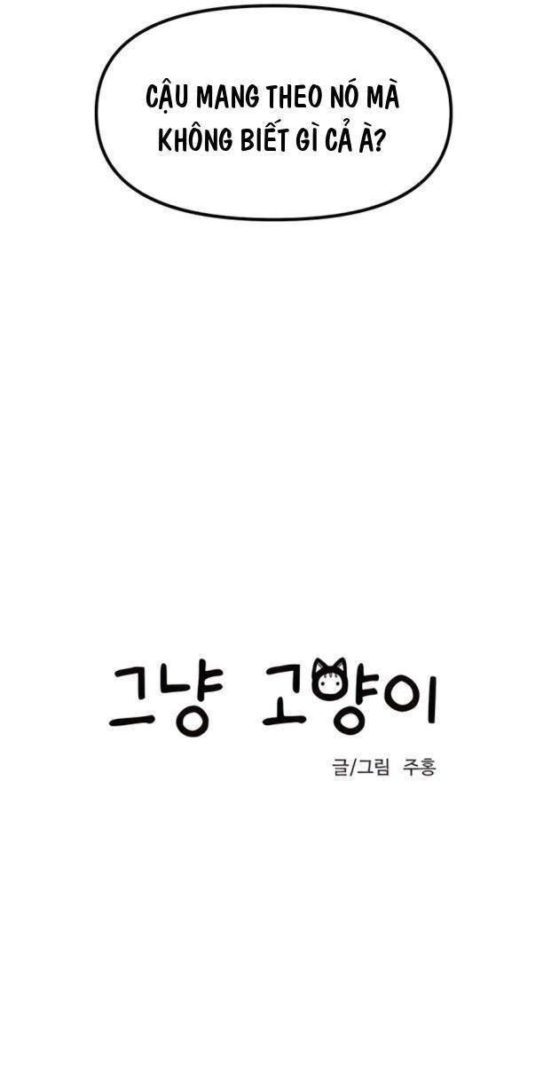 Chỉ Là Mèo - Page 24