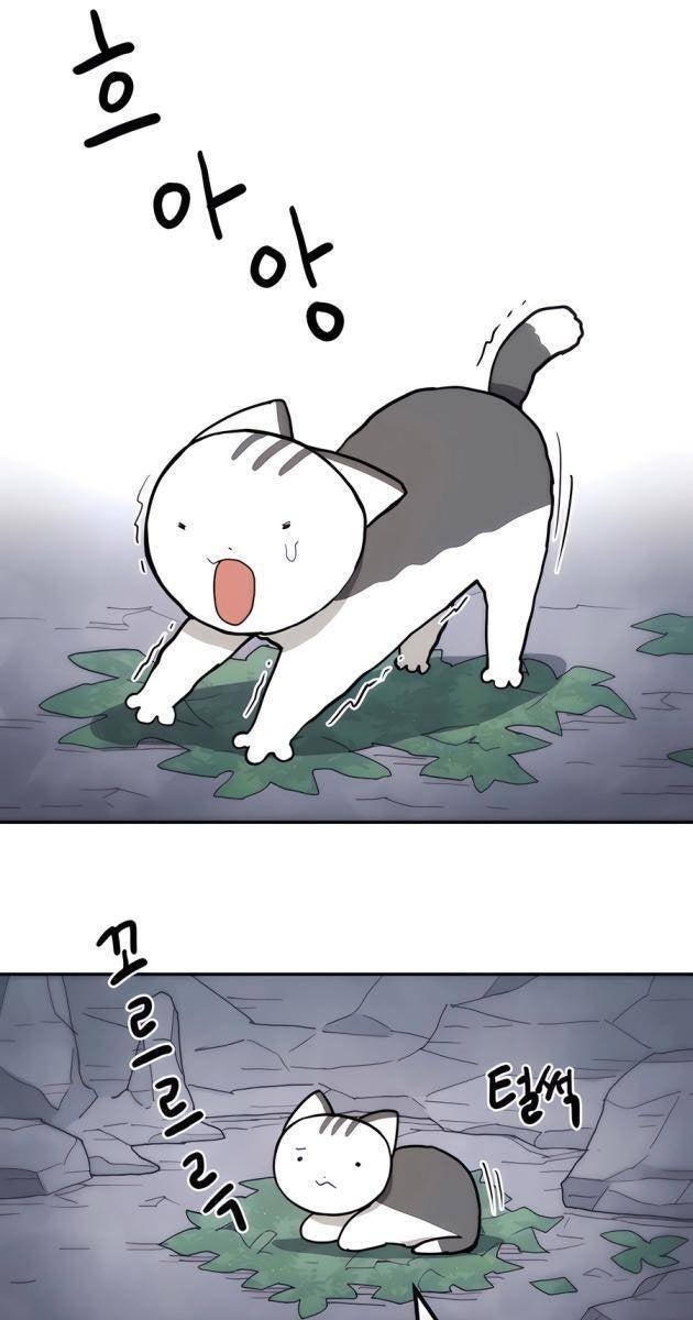 Chỉ Là Mèo - Page 44