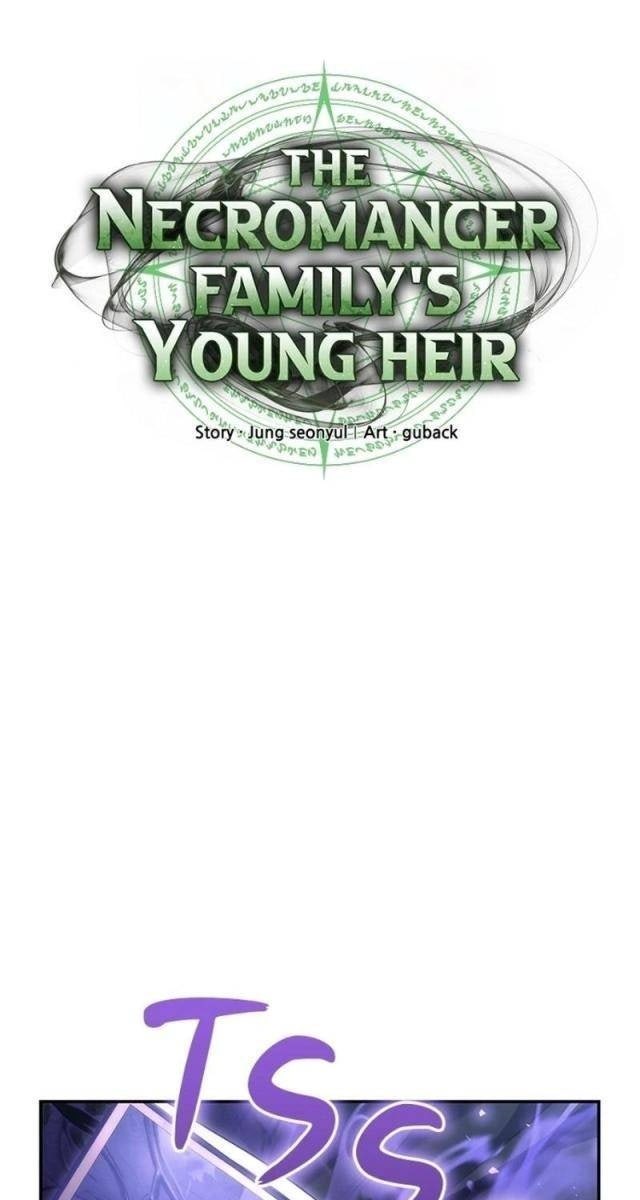 Thiếu Gia Chủ Của Gia Tộc Tử Linh Sư - Page 29