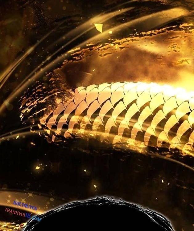 Thiên Trung Long Môn - Page 21