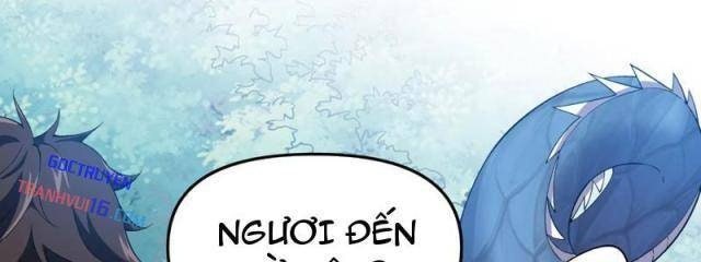 Xuyên Không Đến Thế Giới Tu Chân, Ta Vậy Mà Kích Hoạt Được Hệ Thống Plants vs Zombie - Page 24