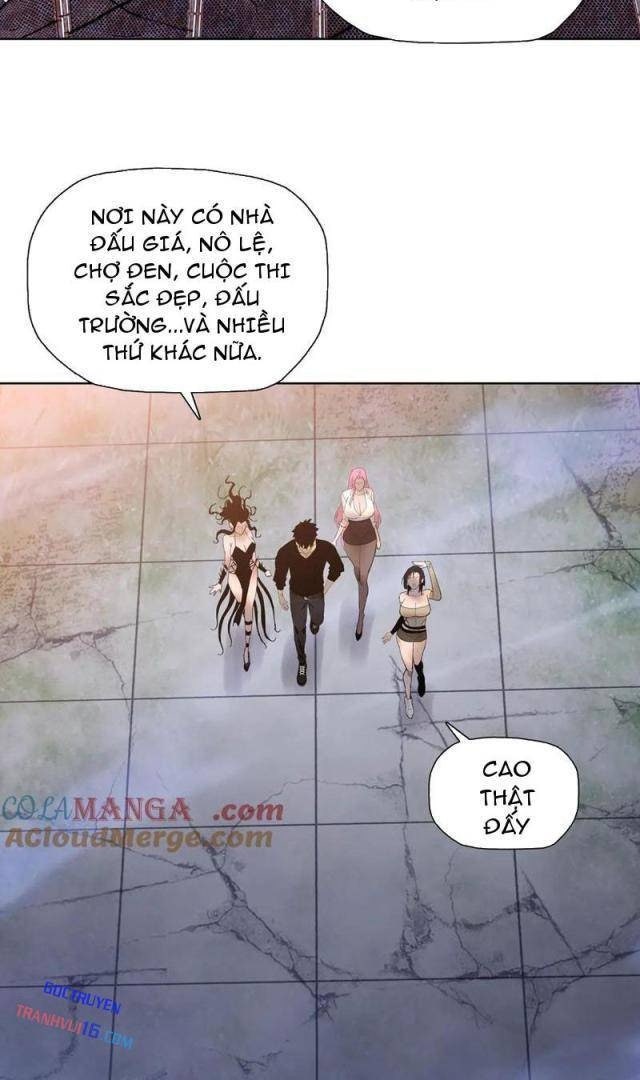 Kẻ Tàn Nhẫn Ngày Tận Thế: Bắt Đầu Dự Trữ Hàng Tỉ Tấn Vật Tư - Page 4