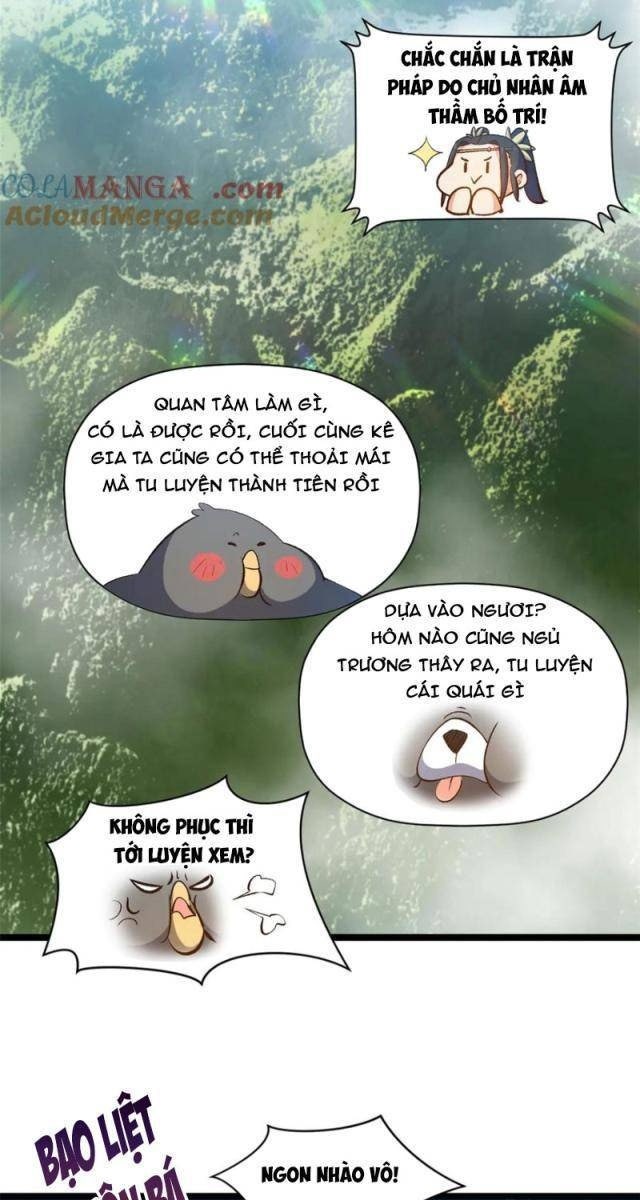 Đỉnh Cấp Khí Vận, Lặng Lẽ Tu Luyện Ngàn Năm - Page 13