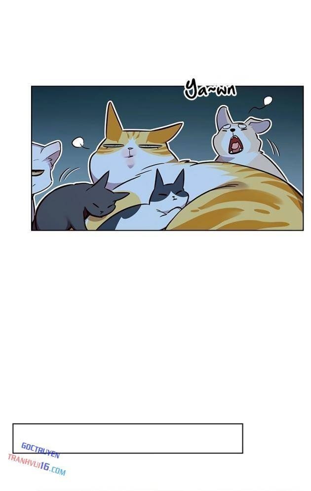 Hoá Thân Thành Mèo - Page 62