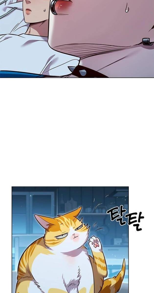 Hoá Thân Thành Mèo - Page 44