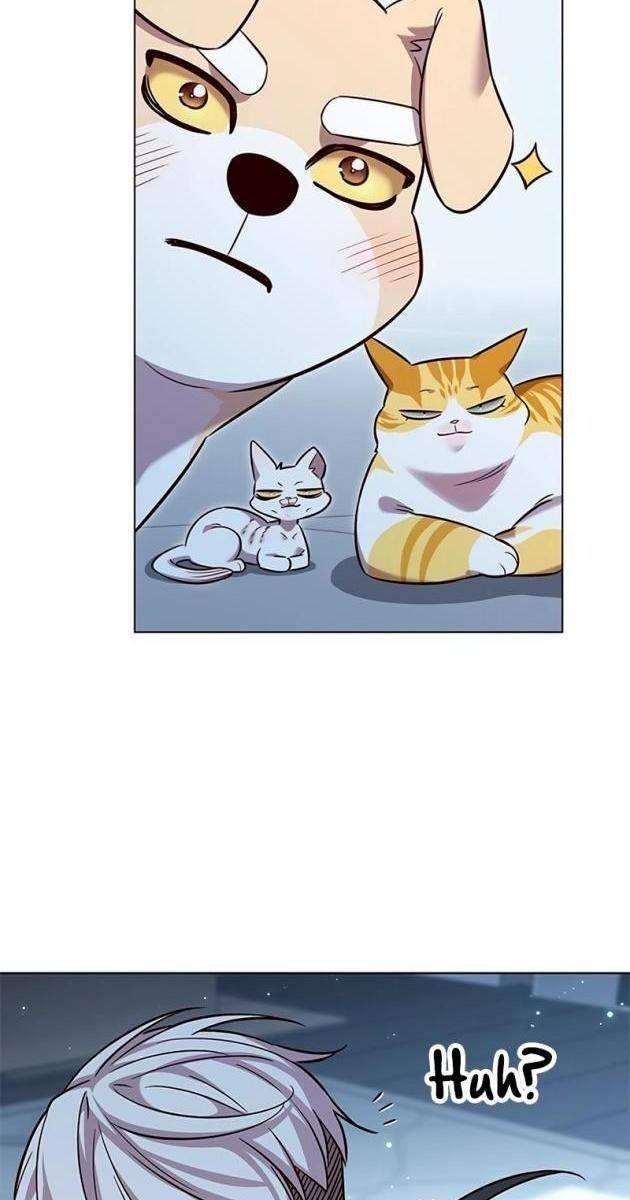 Hoá Thân Thành Mèo - Page 110