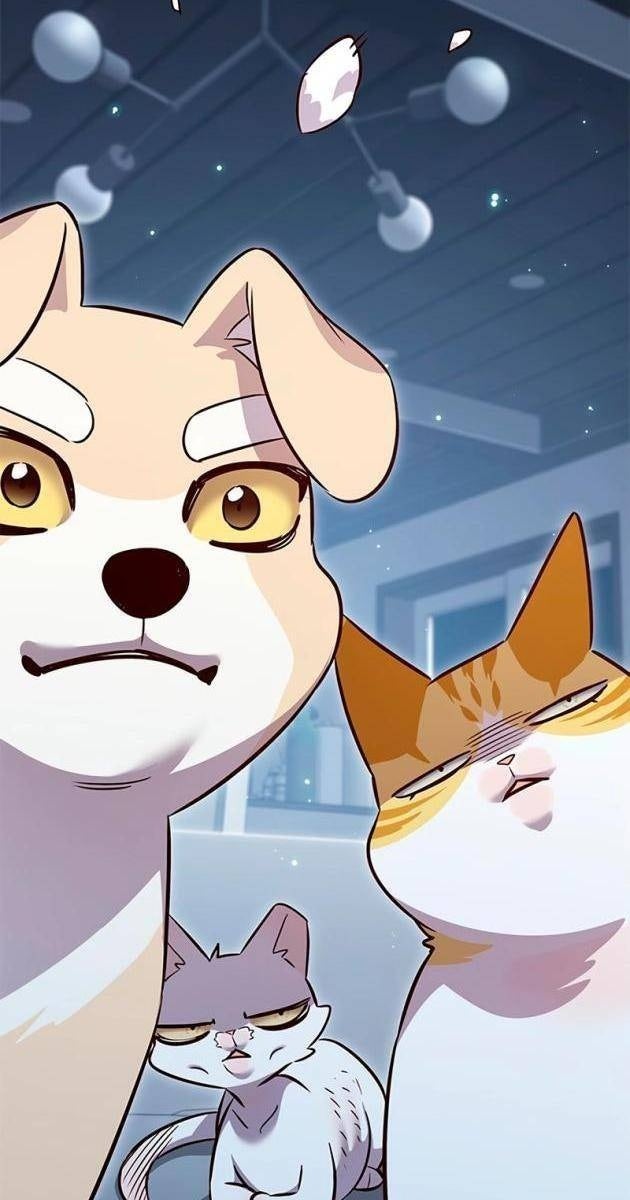 Hoá Thân Thành Mèo - Page 128